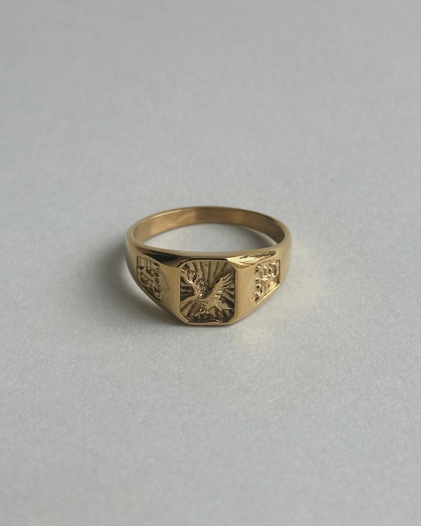Hazard Ring