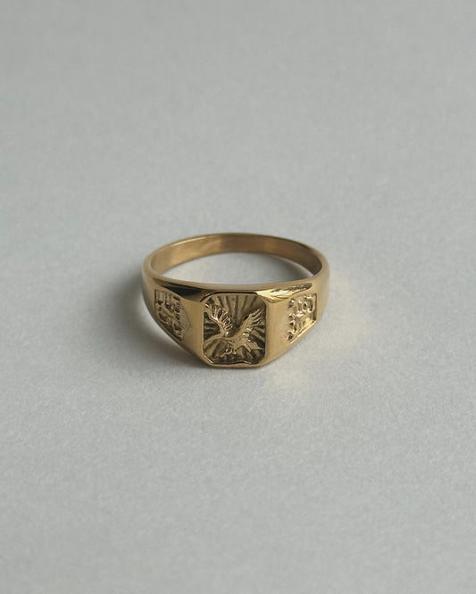Hazard Ring